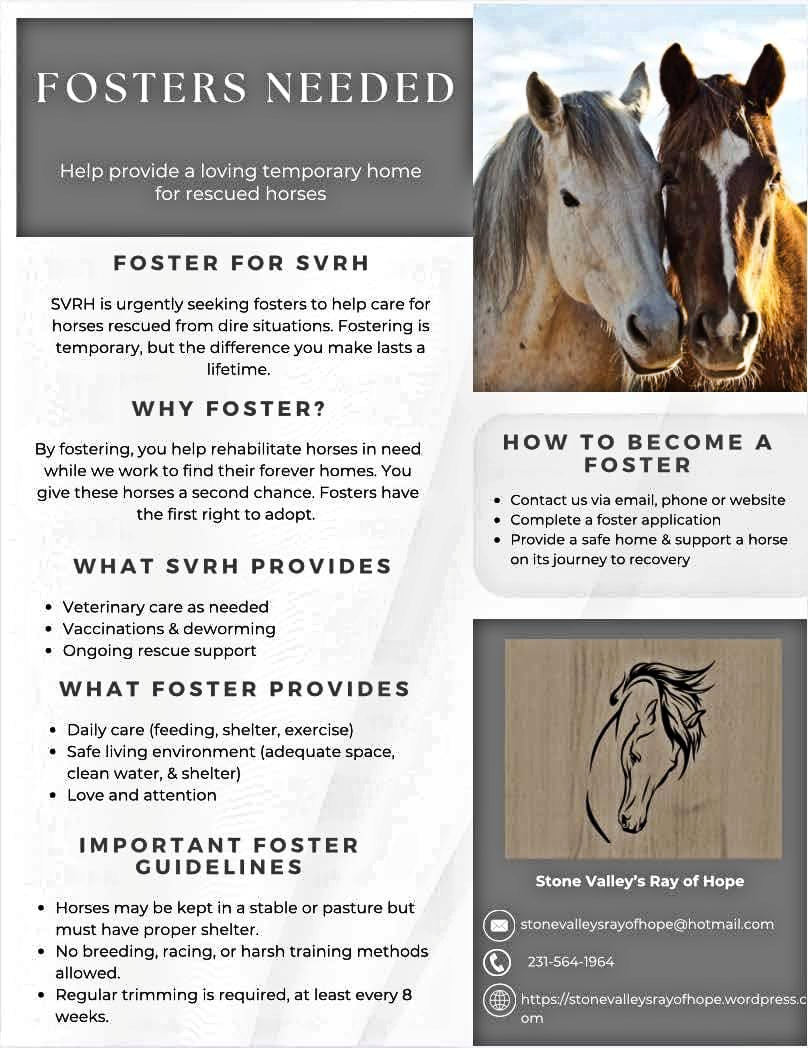Fosters needed to continue saving horses!